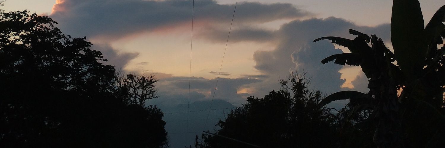 ericalimg's profile banner image