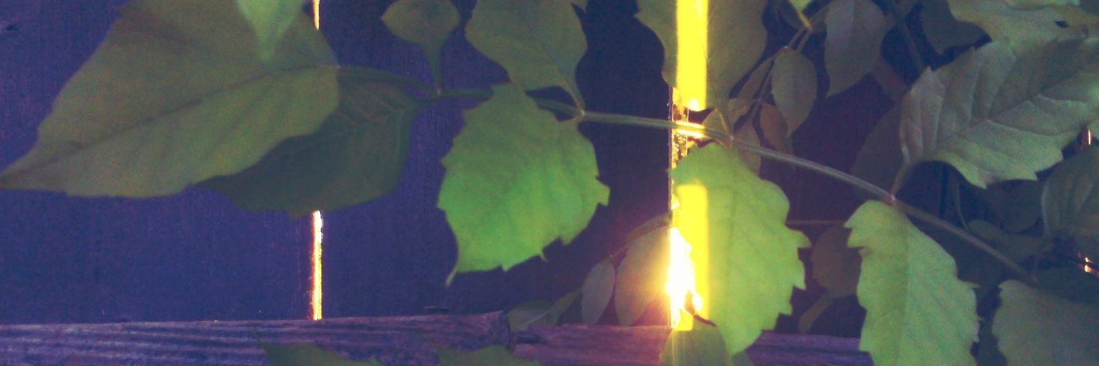 ash_sanders0's profile banner image