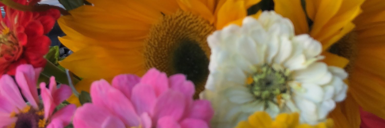anrmf's profile banner image