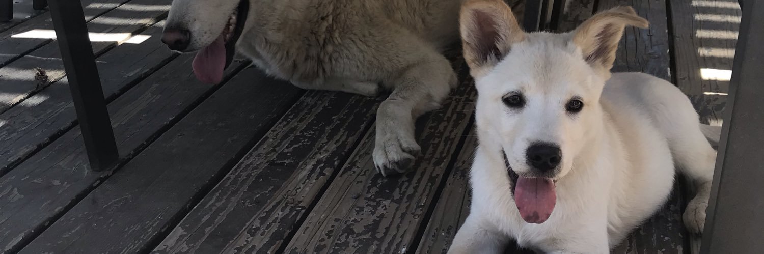CamStayBlest's profile banner image