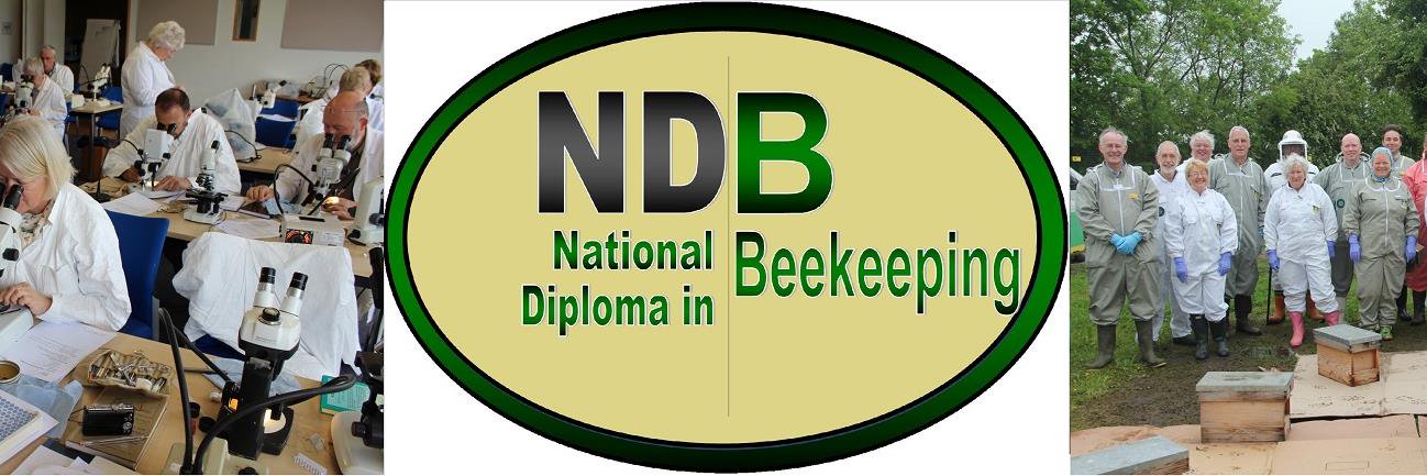 NatDip in Beekeeping banner