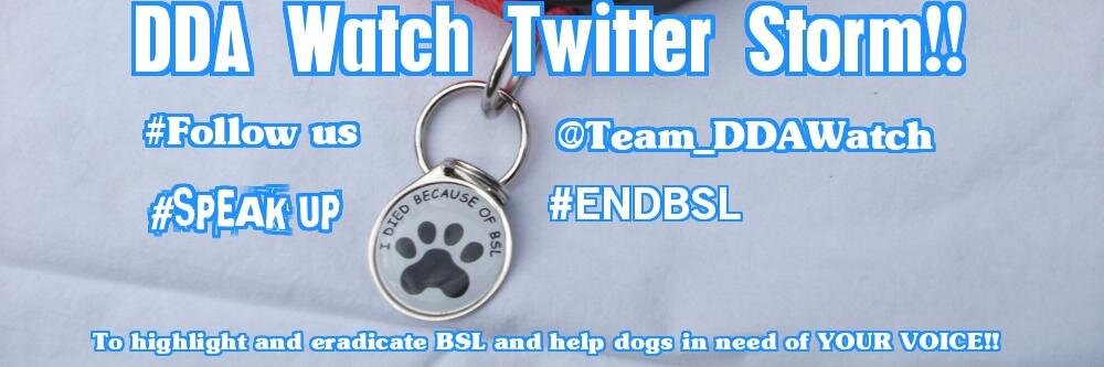 Team_DDAWatch's profile banner image