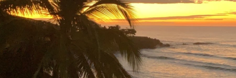 Lena_Elizabeth's profile banner image