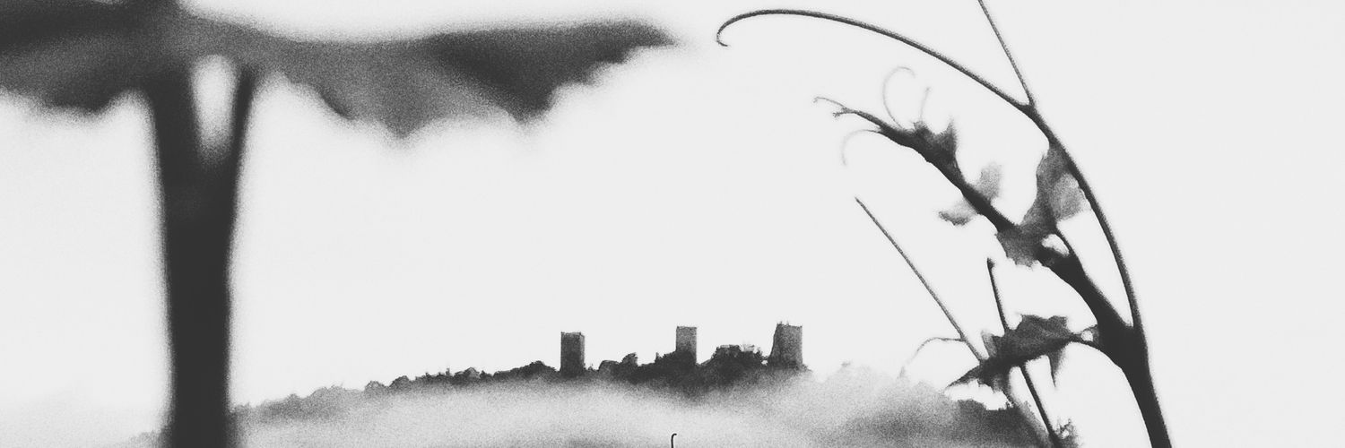 T_R_Ash_'s profile banner image