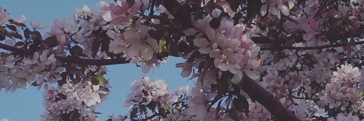 MataylaStJean's profile banner image