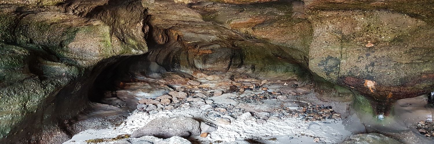 Shannon Notley banner