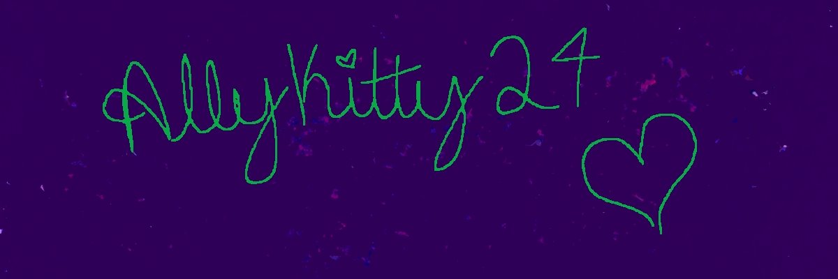 allykitty24's profile banner image