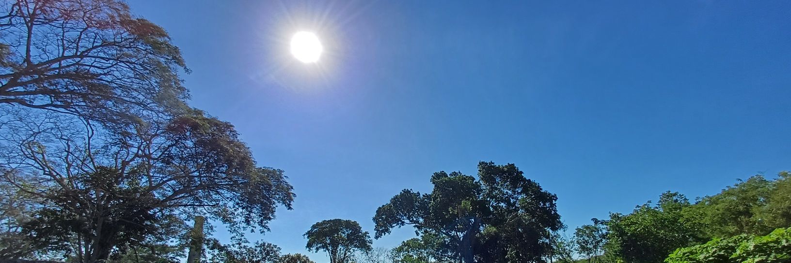 arielnice's profile banner image