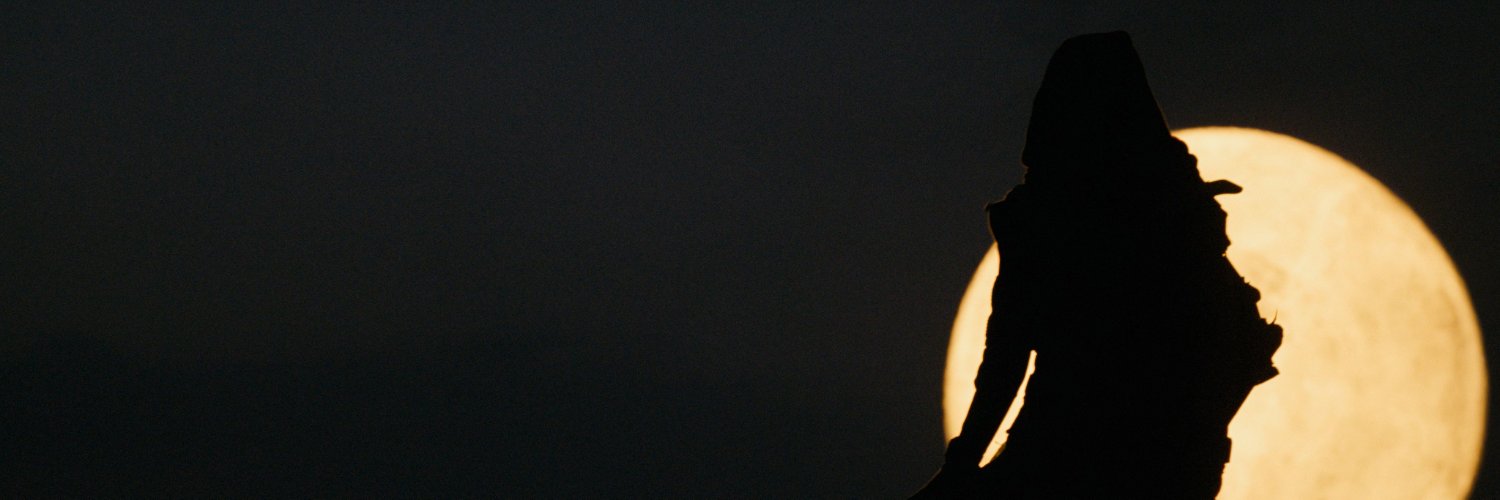 dunemperor's profile banner image