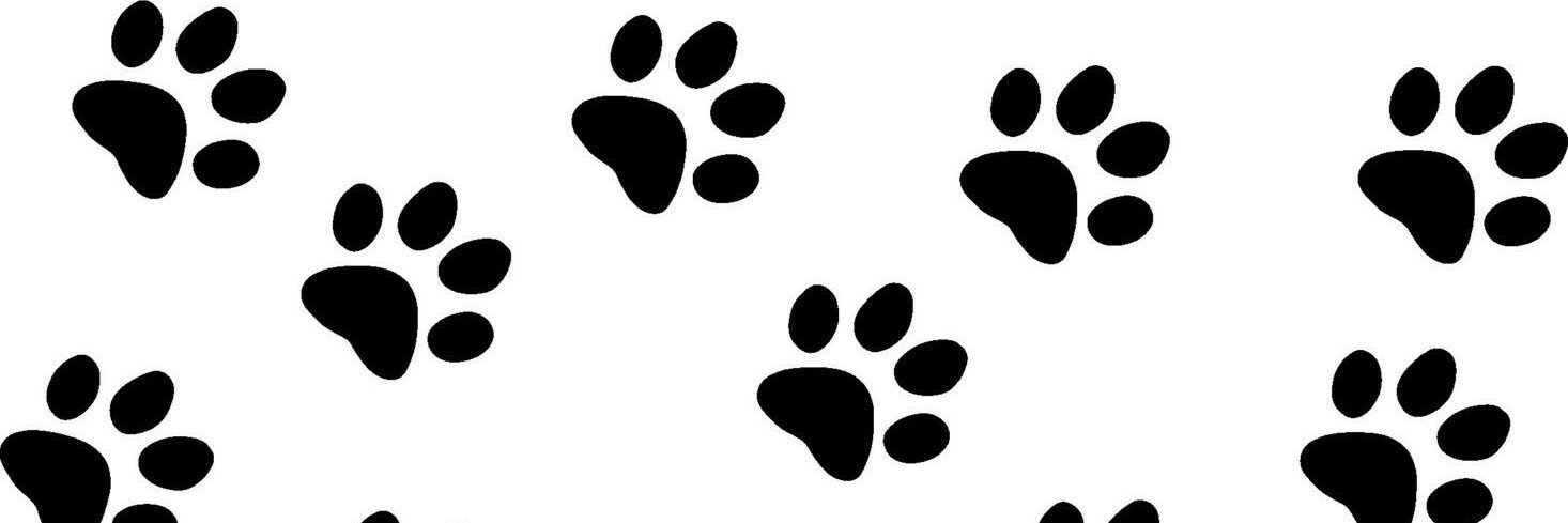 pawsforacauseoc's profile banner image