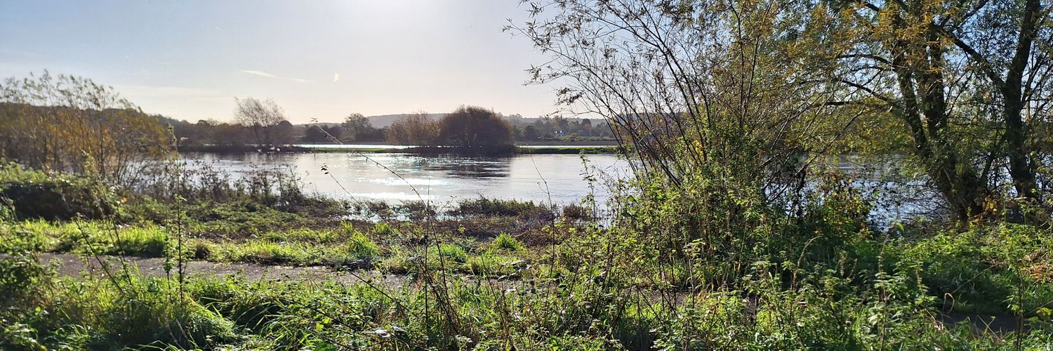 Ade 🤷‍♂️😊 banner