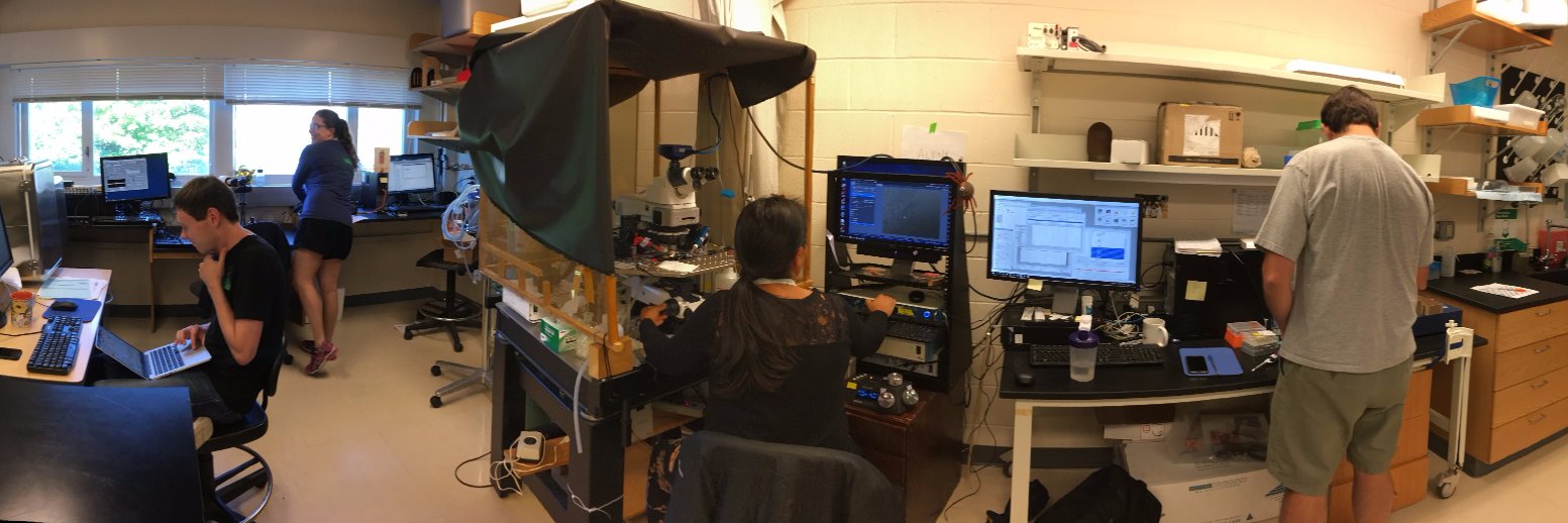 The Grass Foundation banner