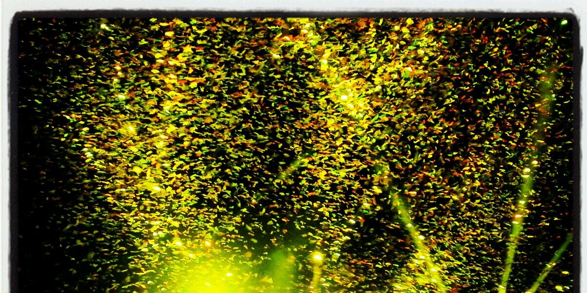 brookels06's profile banner image