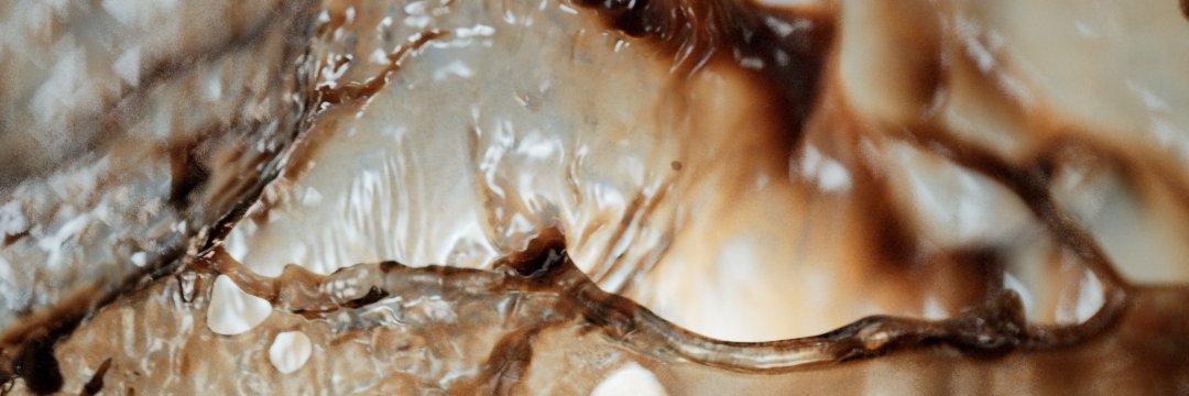 Mesrop Hovhannisyan (Mes) Ⓜ banner