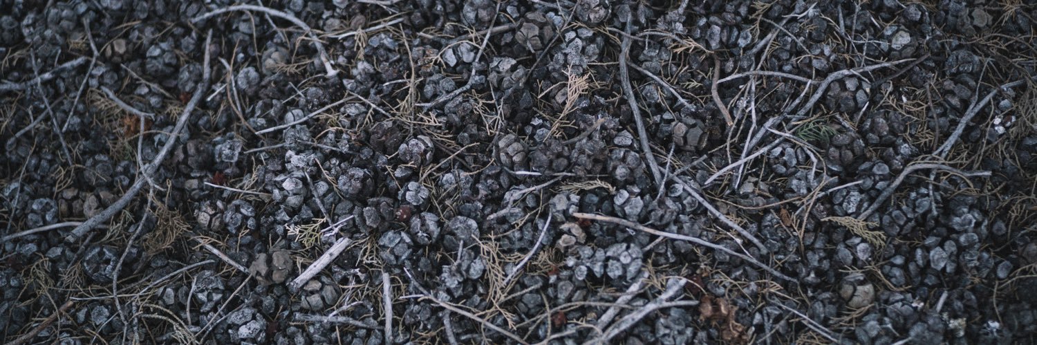 𝘐𝘭𝘪𝘢 banner