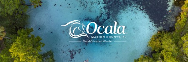 ocalamarion Profile Banner