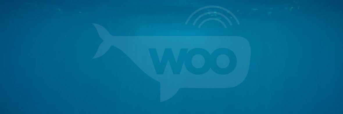 Woo banner