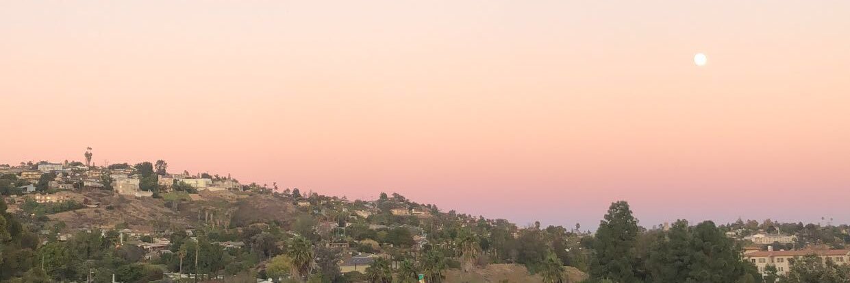 catheriningles's profile banner image