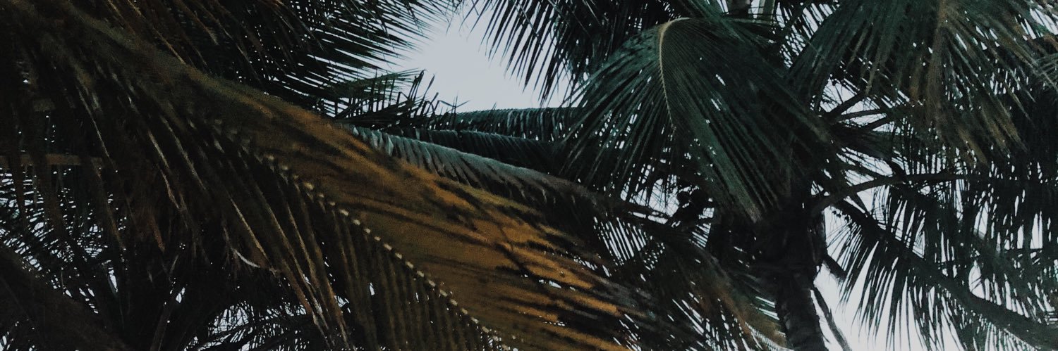 LauraHazim's profile banner image
