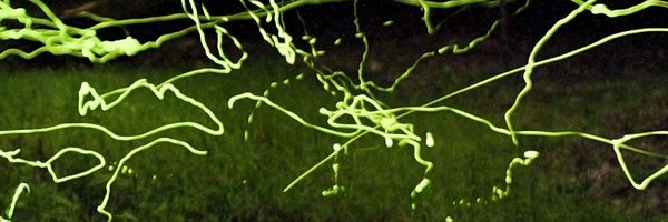 yager Profile Banner