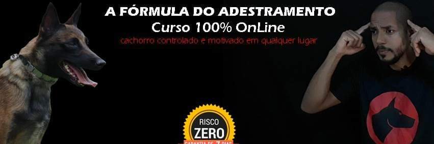 CanilEvolution's profile banner image