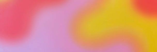 lexi banner