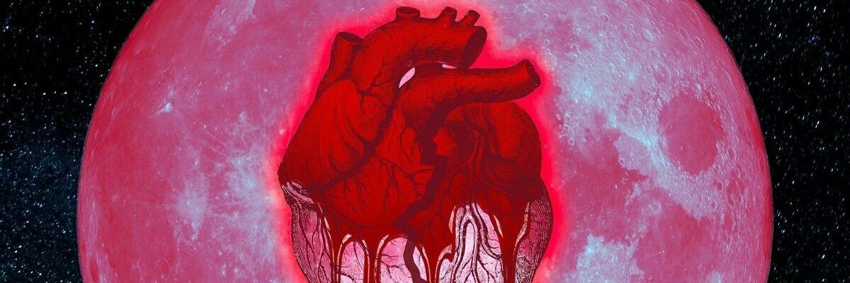 malcolmoliver10's profile banner image