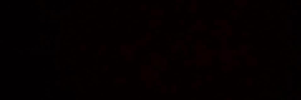 NASHionalchamp's profile banner image