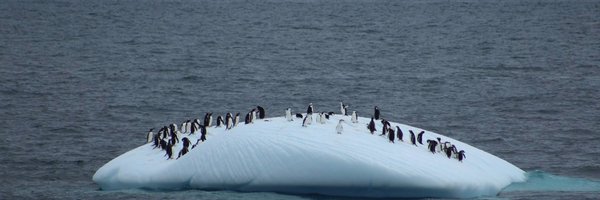 Conxita_LAB Profile Banner