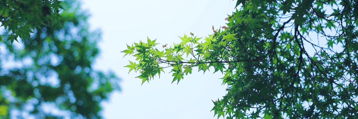jester_june's profile banner image