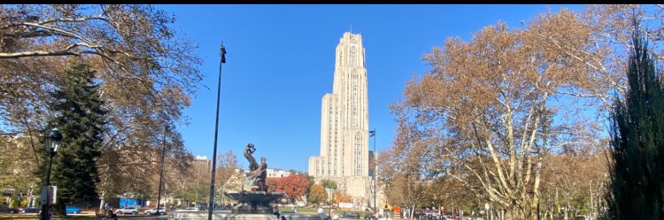 Nathan Kassis banner