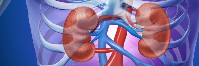 Matt Lanktree | #NephroGenetics banner