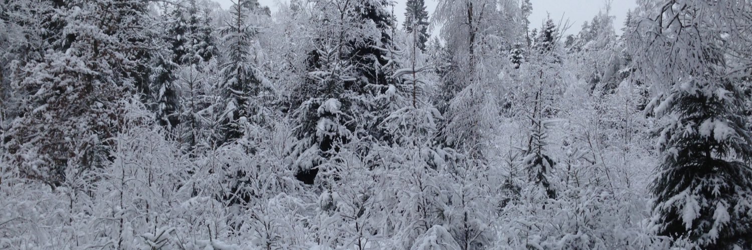 FredrikParing's profile banner image