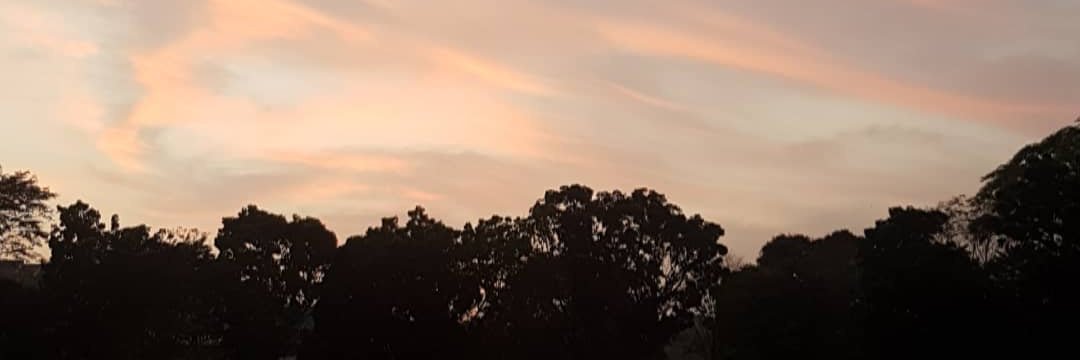 gio_semet's profile banner image