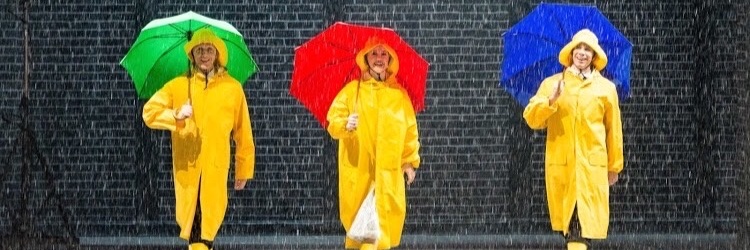 Monique Young banner