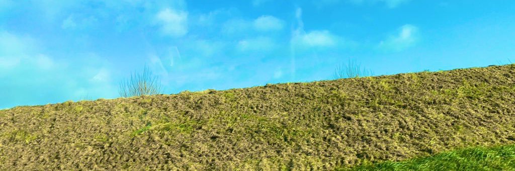 sarahryan_20's profile banner image