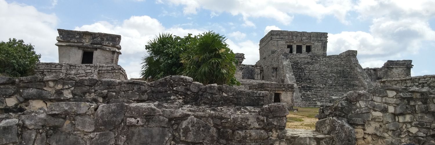 WIKD Wizard BeeR banner