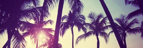 lucyjeffreys's profile banner image