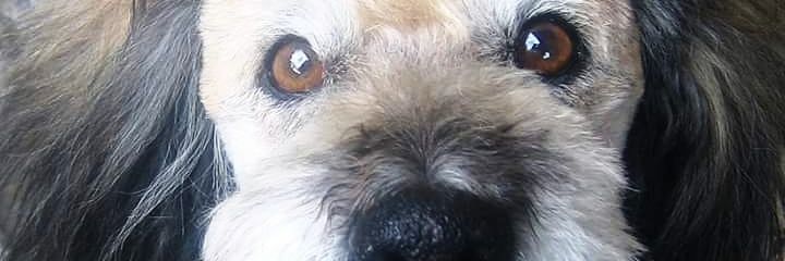 TattaDT's profile banner image