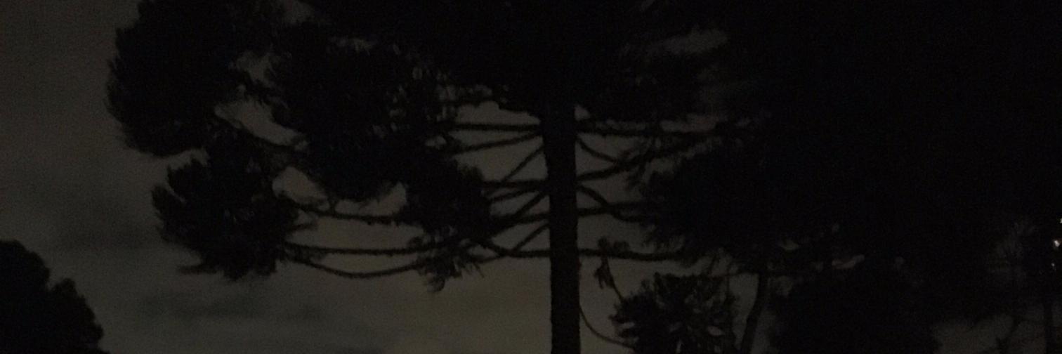 abedgregio's profile banner image
