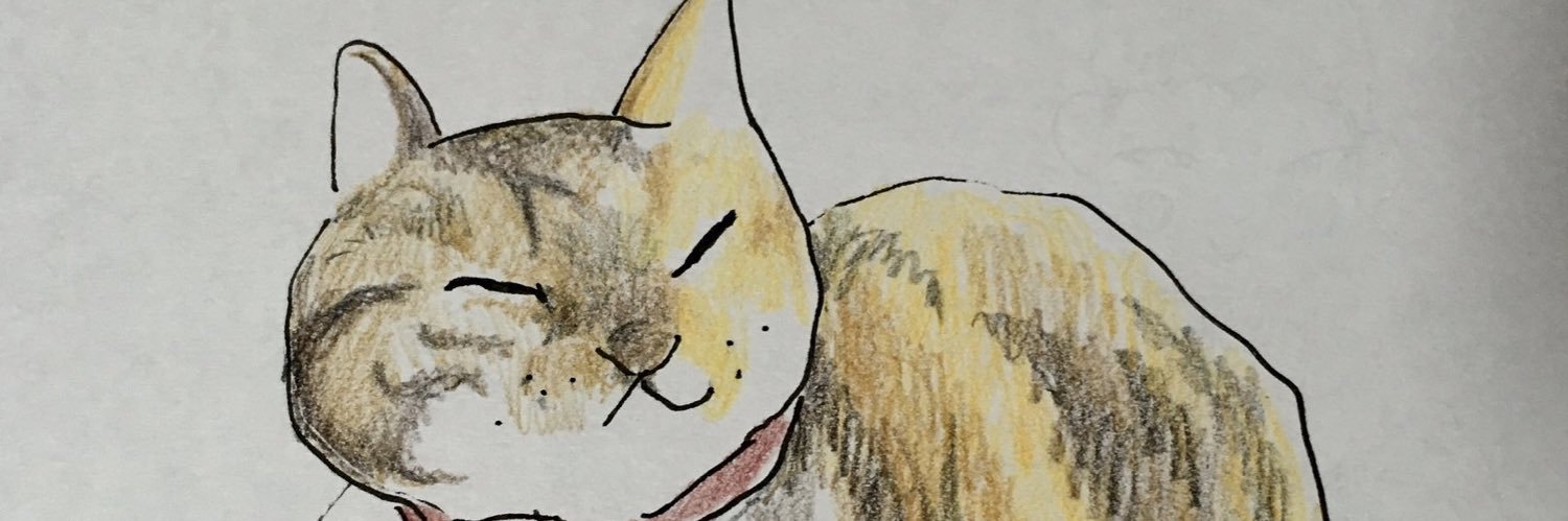 tomisimot's profile banner image