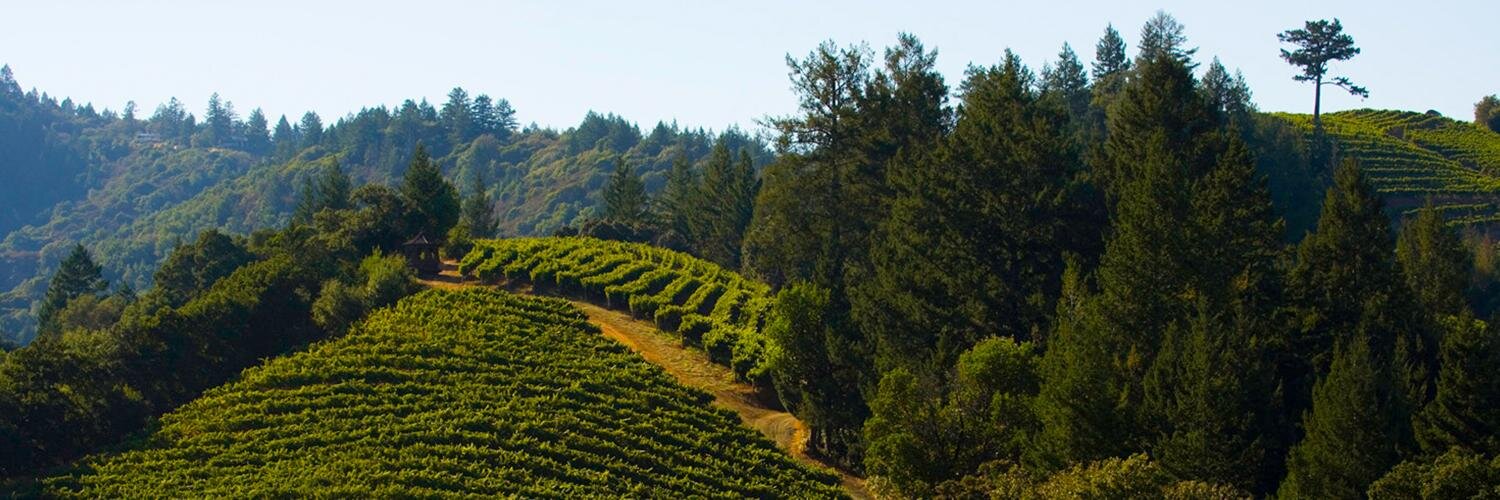 NewtonVineyard's profile banner image