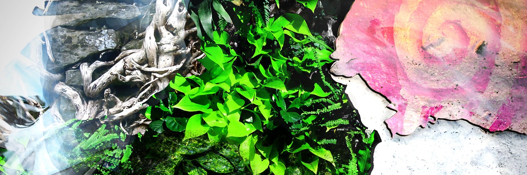 virtualfeelings's profile banner image