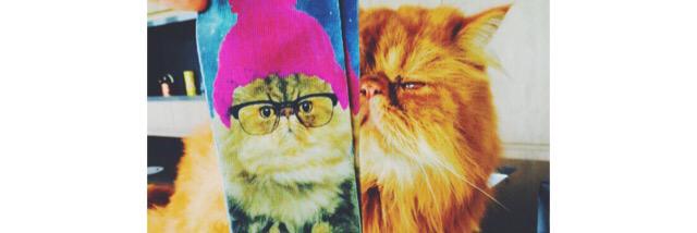 Ambuh•Panduh banner