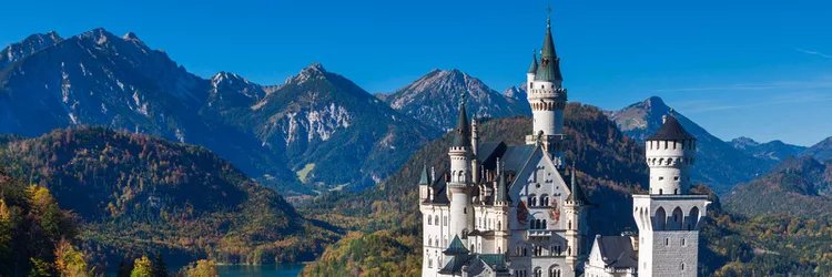 Joshua McGinnis banner