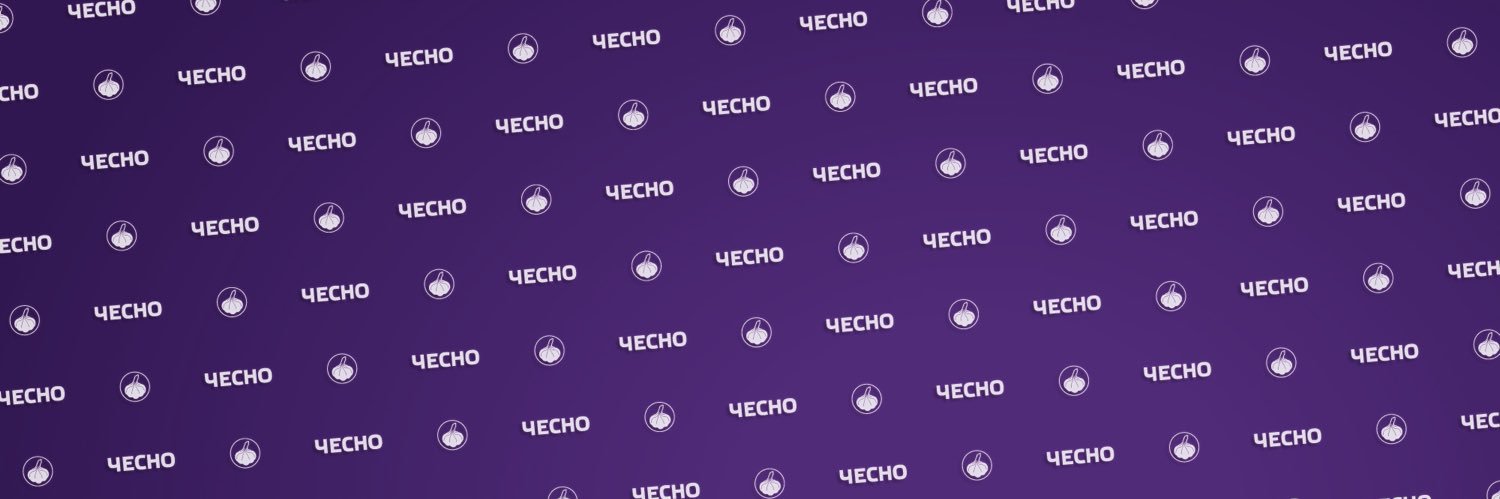 Рух ЧЕСНО's banner
