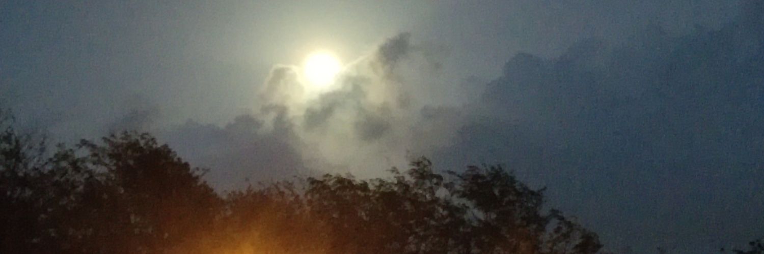 Transfever's profile banner image