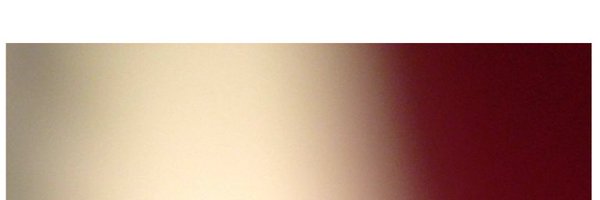 demontvalon1 Profile Banner