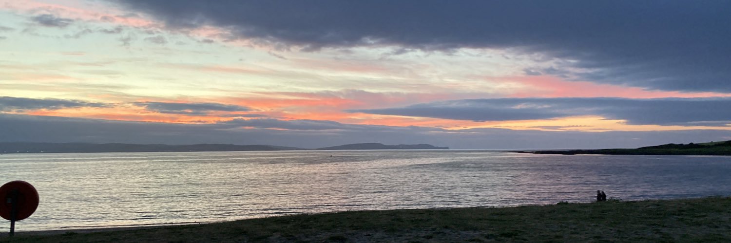 Alan Anderson banner