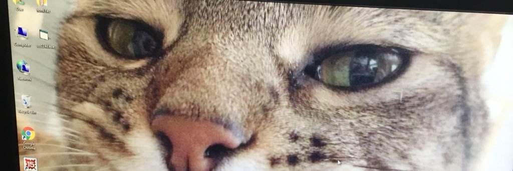 batrisho's profile banner image